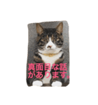 金＆銀（個別スタンプ：3）
