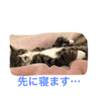 金＆銀（個別スタンプ：7）