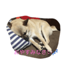さんたの気持ち（個別スタンプ：1）