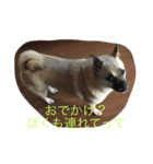 さんたの気持ち（個別スタンプ：2）