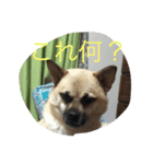 さんたの気持ち（個別スタンプ：3）