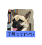 さんたの気持ち（個別スタンプ：5）