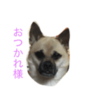 さんたの気持ち（個別スタンプ：7）