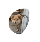 ココちゃんの気持ち代行（個別スタンプ：4）