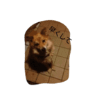 ココちゃんの気持ち代行（個別スタンプ：6）
