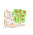 感情まかせの猫たち（個別スタンプ：39）