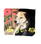 雑種な犬スタンプ（個別スタンプ：2）