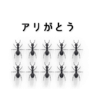 我思う故に我アリ（個別スタンプ：1）