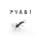 我思う故に我アリ（個別スタンプ：5）