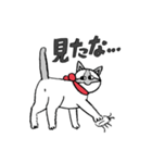 齋藤さんちのチロルちゃん（個別スタンプ：1）