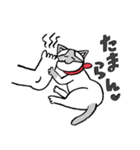齋藤さんちのチロルちゃん（個別スタンプ：7）