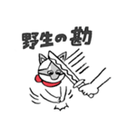齋藤さんちのチロルちゃん（個別スタンプ：9）