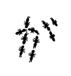 あり文字 2（個別スタンプ：1）
