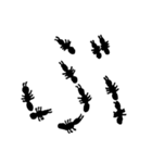 あり文字 2（個別スタンプ：21）