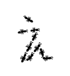 あり文字（個別スタンプ：4）