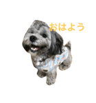 殿だよ（個別スタンプ：2）