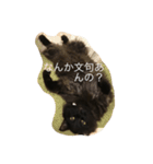 モフ君の日常（個別スタンプ：2）