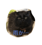 モフ君の日常（個別スタンプ：3）