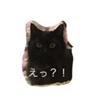 モフ君の日常（個別スタンプ：8）