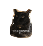 モフ君の日常（個別スタンプ：10）
