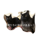 モフ君の日常（個別スタンプ：11）