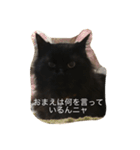 モフ君の日常（個別スタンプ：12）