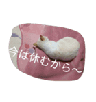 クールな猫のウラ君 Part1（個別スタンプ：3）