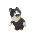 teramon＆toto（個別スタンプ：5）