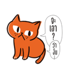 Chao Meow（個別スタンプ：3）