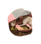 白フェレットのスタンプ（個別スタンプ：5）