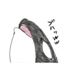 コンゴウフグと海の仲間たち（個別スタンプ：14）