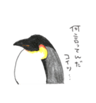 コンゴウフグと海の仲間たち（個別スタンプ：15）