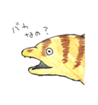 コンゴウフグと海の仲間たち（個別スタンプ：24）