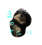 わわいい（個別スタンプ：8）