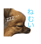 メイちゃんの日常（個別スタンプ：2）