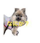 メイちゃんの日常（個別スタンプ：5）