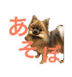 メイちゃんの日常（個別スタンプ：8）