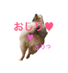 メイちゃんの日常（個別スタンプ：9）
