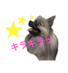 メイちゃんの日常（個別スタンプ：17）