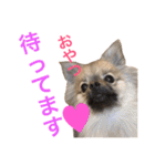 メイちゃんの日常（個別スタンプ：22）