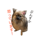 メイちゃんの日常（個別スタンプ：23）