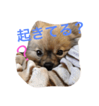 メイちゃんの日常（個別スタンプ：25）