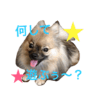 メイちゃんの日常（個別スタンプ：28）