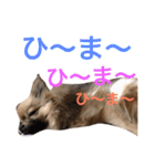 メイちゃんの日常（個別スタンプ：30）