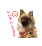 メイちゃんの日常（個別スタンプ：31）