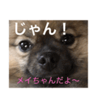 メイちゃんの日常（個別スタンプ：32）