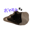 モモタ0140（個別スタンプ：8）