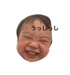 にぼとじゅん（個別スタンプ：2）