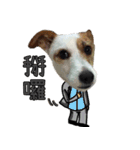 Little Prince POLY Dog（個別スタンプ：5）