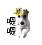 Little Prince POLY Dog（個別スタンプ：7）